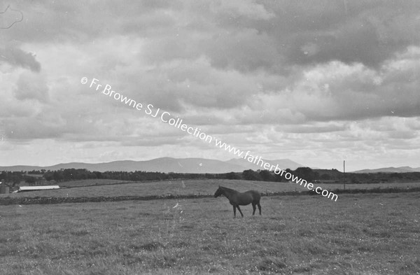 PHOTOGRAPHIC SOCIETY OF IRELAND OUTING